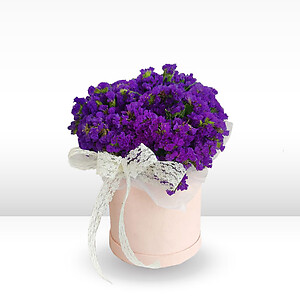 Lilac statice flower box