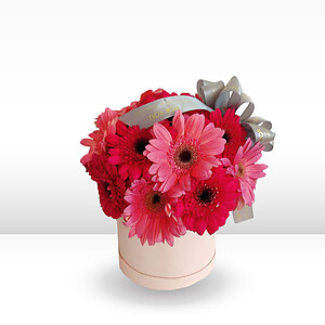 Pink Gerbera flower box