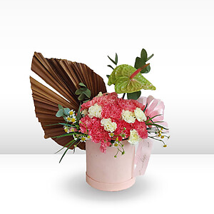 Premium Carnation flower box